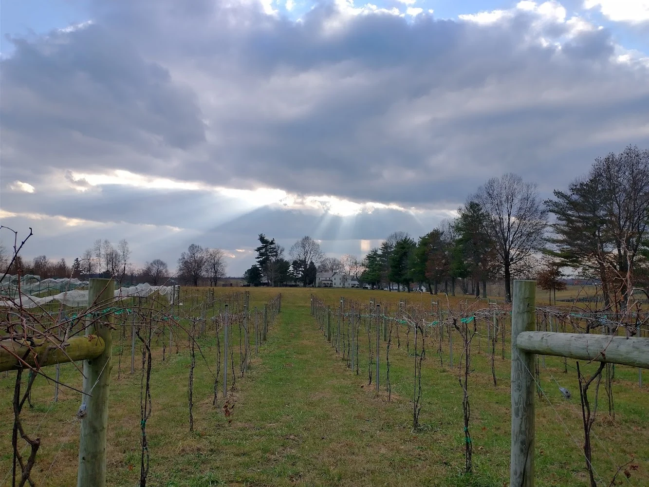 Winery in Nicholasville, 1922 House Winery, Nicholasville, Kentucky, Nicholasville, Kentucky
