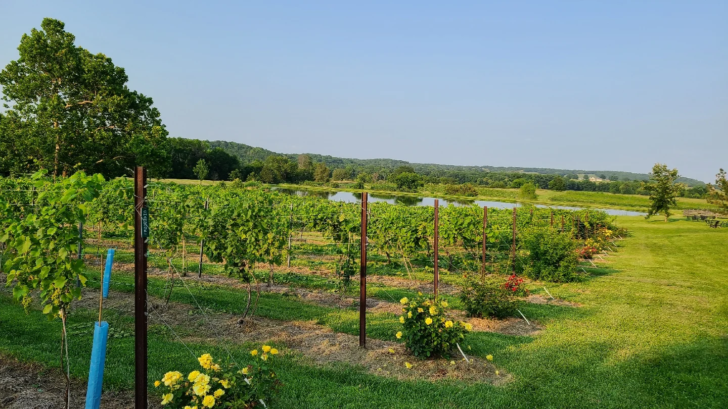 Winery in Lawrence, Crescent Moon Winery, Lawrence, Kansas, Lawrence, Kansas