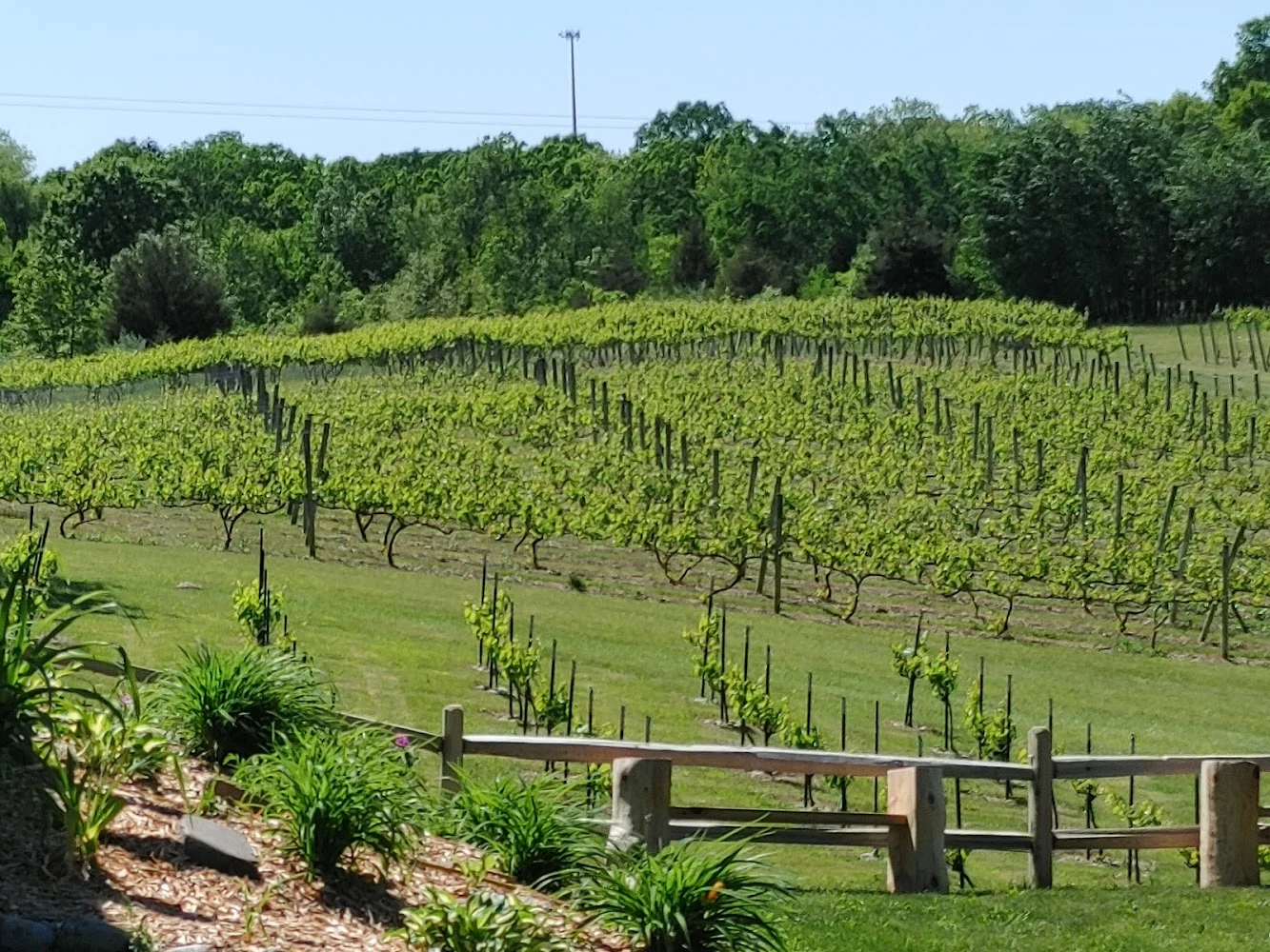 Winery in Brooklyn, Cherry Creek Cellars, Brooklyn, Michigan, Brooklyn, Michigan