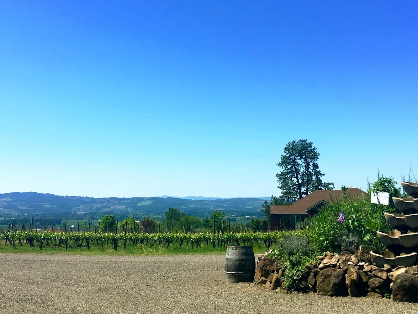 Winery in Beaverton, Cooper Mountain Vineyards, Beaverton, Oregon, Beaverton, Oregon